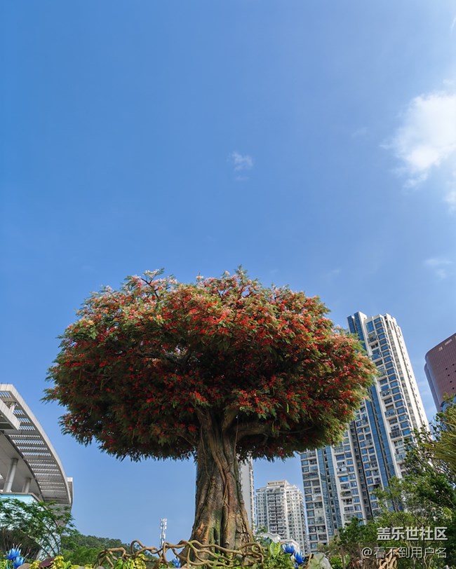 2025年6月9日嶼見(jiàn)閩南線下攝影活動(dòng)回顧貼