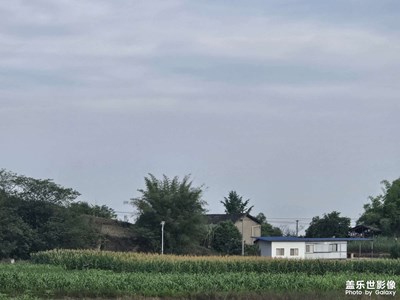 【鏡頭里的六月】+生機(jī)