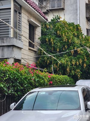 【鏡頭里的六月】周末隨手拍