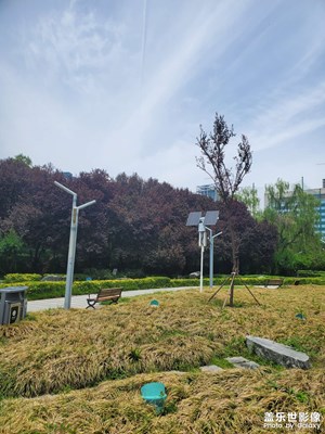 【鏡頭里的六月】+ 六月的天空