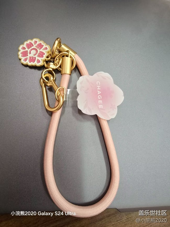 【武漢星部落】【我的年度總結(jié)】上半年的“收獲”