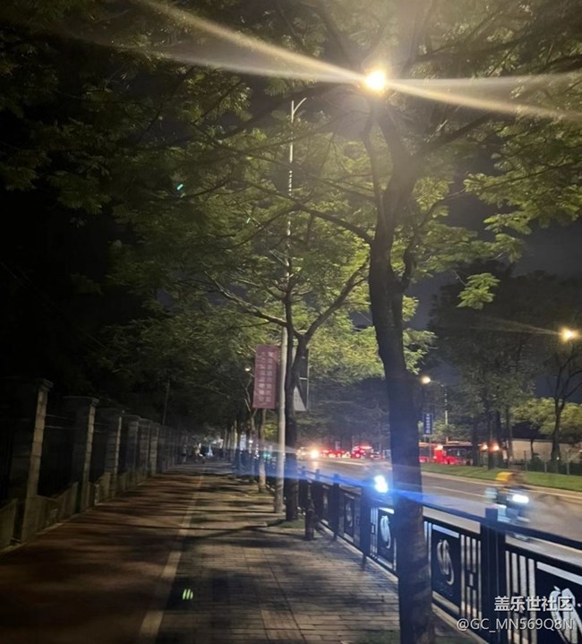 【鵬城夜景】夜晚散步