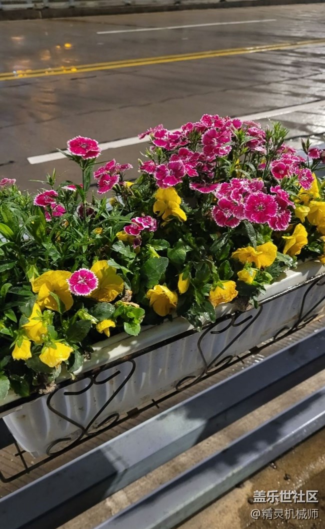 【鵬城夜景】魅力夜晚