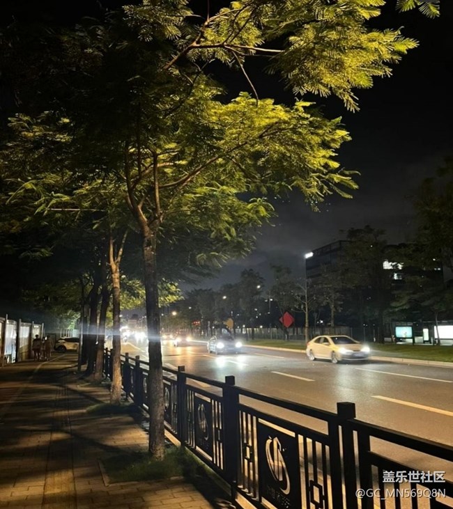 【鵬城夜景】夜晚散步