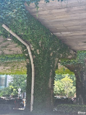 【光影里的五彩斑斕】烈日灼心