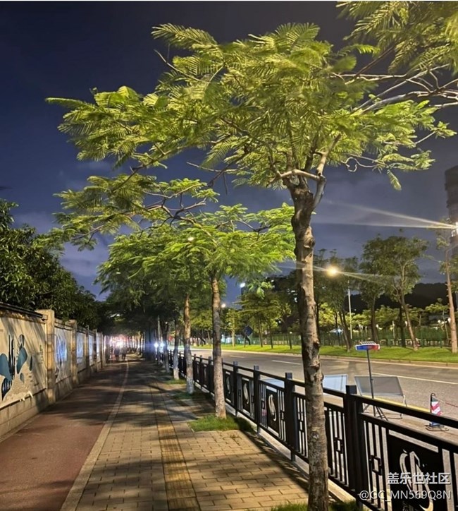 【鵬城夜景】夜晚散步
