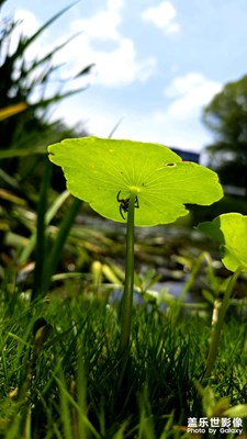 純屬巧合，拍完后才發(fā)現(xiàn)里面藏了個小蜘蛛???