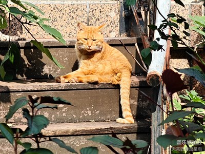 【光影里的五彩斑斕】+迷人的六月