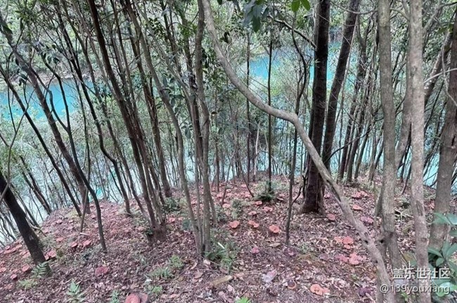 【浪漫盛夏季】綠水青山