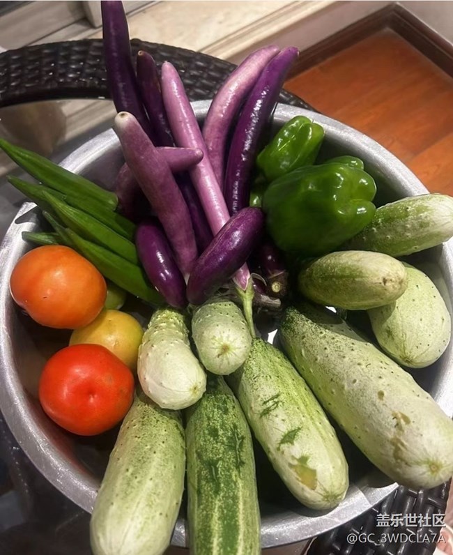 【浪漫盛夏季】菜園