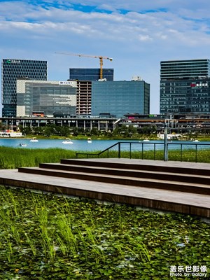 鋼筋水泥中的綠意