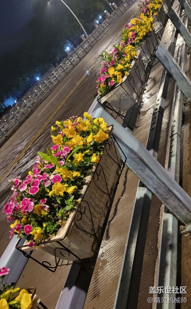 【鵬城夜景】魅力夜晚