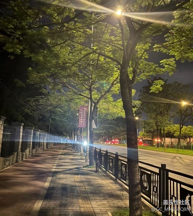 【鵬城夜景】夜晚散步