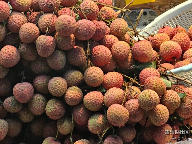 【集市煙火氣】集市煙火