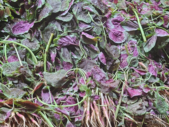 【集市煙火氣】集市煙火