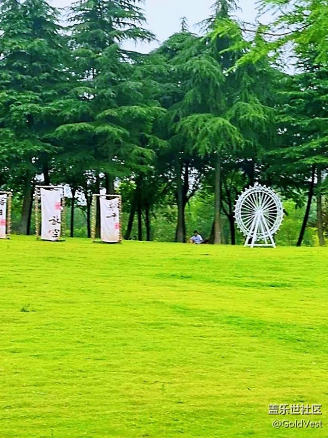 【夏日松弛感】索河郊野公園，夏日杏香采摘之旅