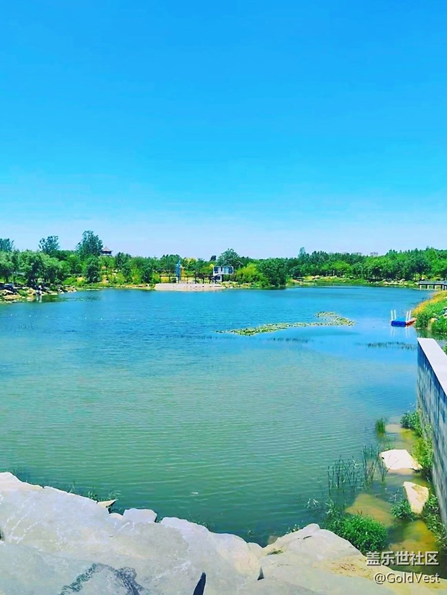 【夏日松弛感】索河郊野公園，夏日杏香采摘之旅