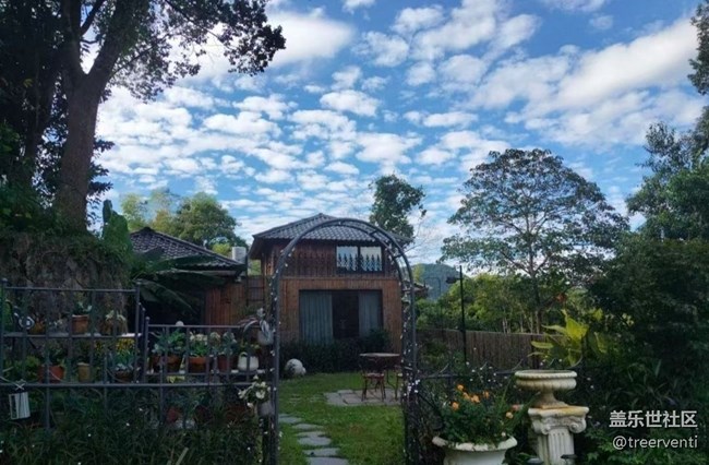 【浪漫盛夏季】山頂