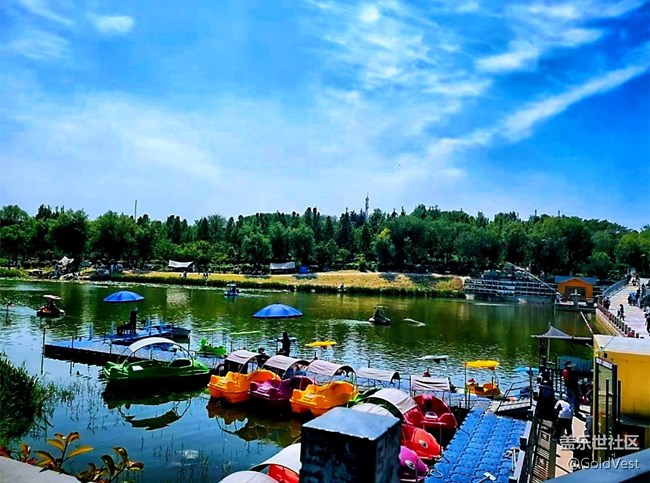 【夏日松弛感】索河郊野公園，夏日杏香采摘之旅