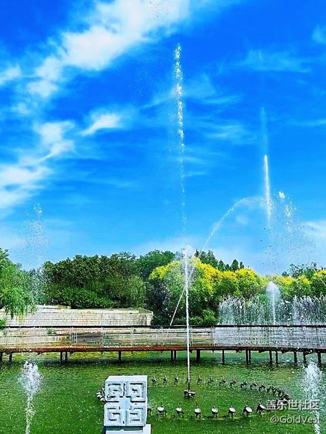 【夏日松弛感】索河郊野公園，夏日杏香采摘之旅