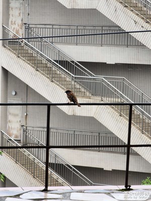 【光影里的五彩斑斕】生活里的小美好