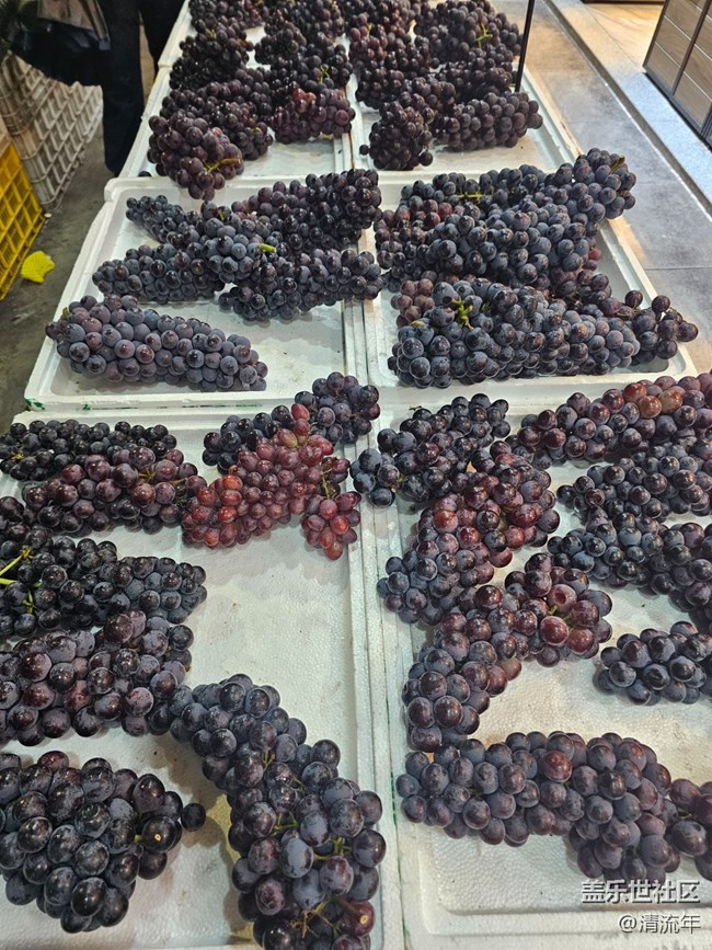 【集市煙火氣】集市煙火