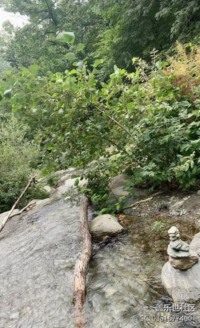 【浪漫盛夏季】進山避暑