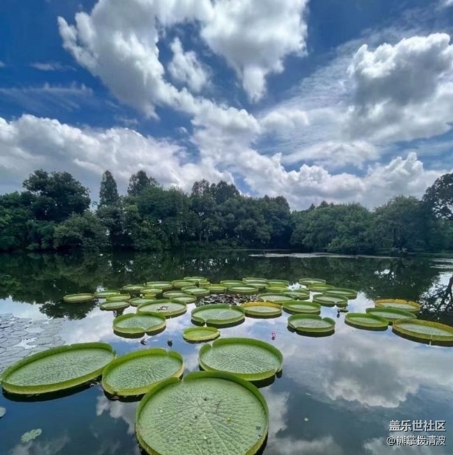 【浪漫盛夏季】西湖游