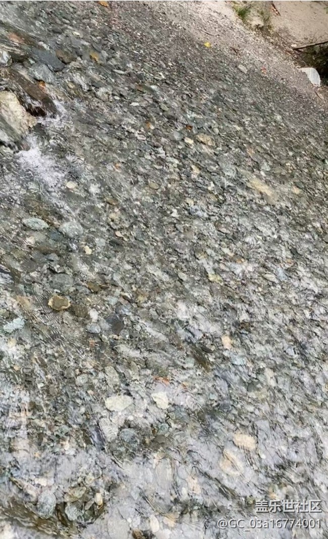 【浪漫盛夏季】進山避暑