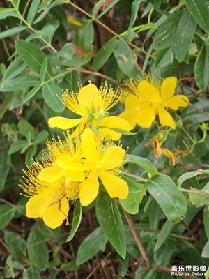 【光影里的五彩斑斕】多姿多彩