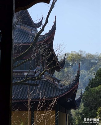 帶娃游靈隱寺，徒步龍井村，可惜沒(méi)有體力再去九溪煙樹