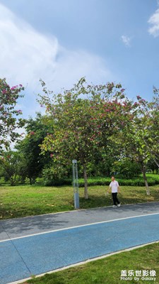 【光影里的五彩斑斕】陽光普照