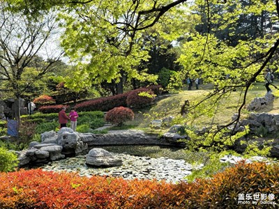 Galaxy S23 Ultra【花園】