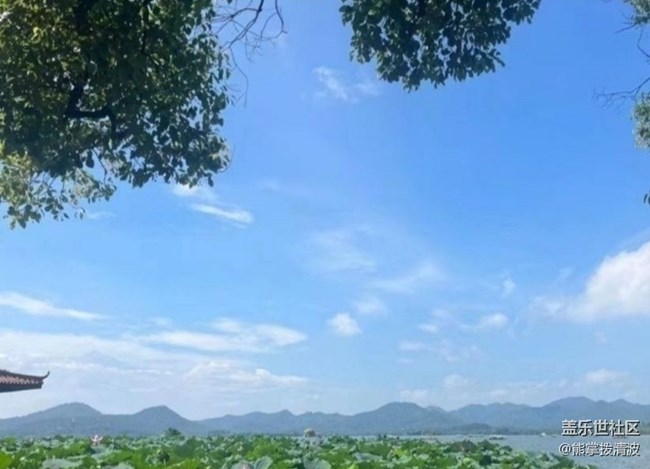 【浪漫盛夏季】西湖游