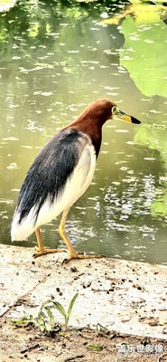 ～～光影里的五彩斑斕……