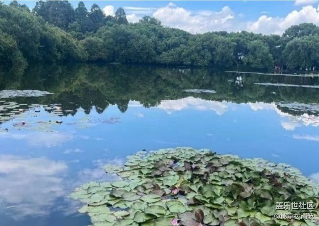 【浪漫盛夏季】西湖游