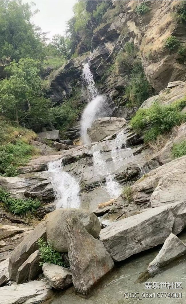 【浪漫盛夏季】進山避暑