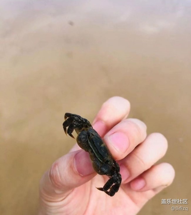 【浪漫盛夏季】吹海風