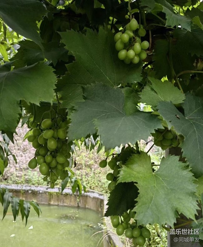 【浪漫盛夏季】山里人的夏天