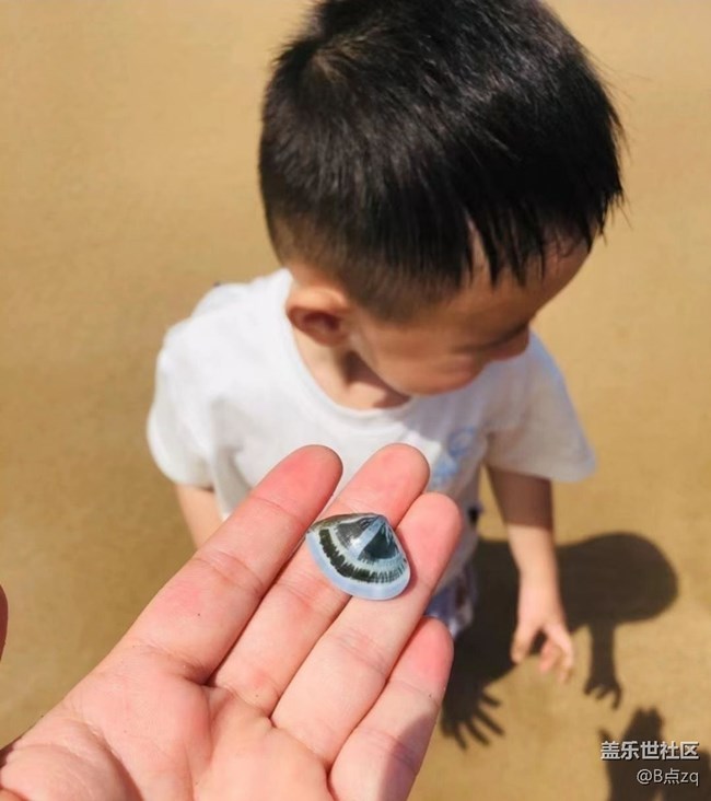 【浪漫盛夏季】吹海風