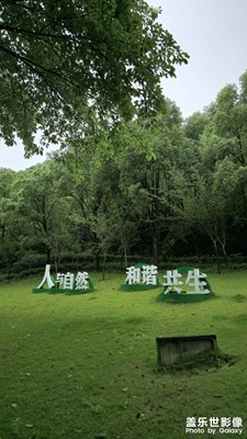 人與自然，和諧共生。