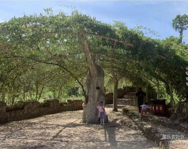 【浪漫盛夏季】出去玩
