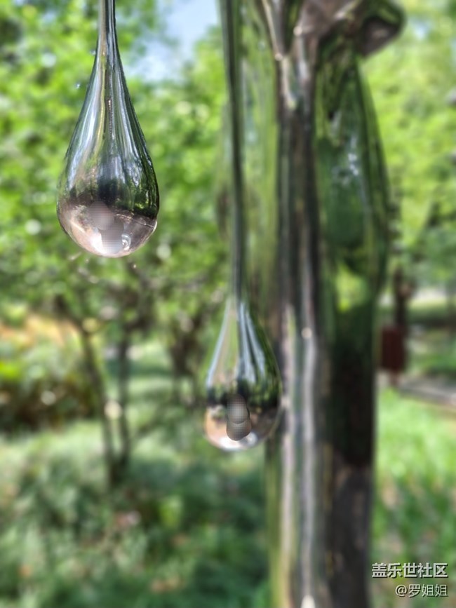 #六月江南暑未闌——?竹林