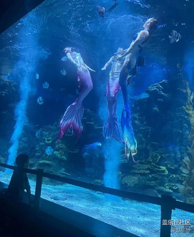 【浪漫盛夏季】海洋館
