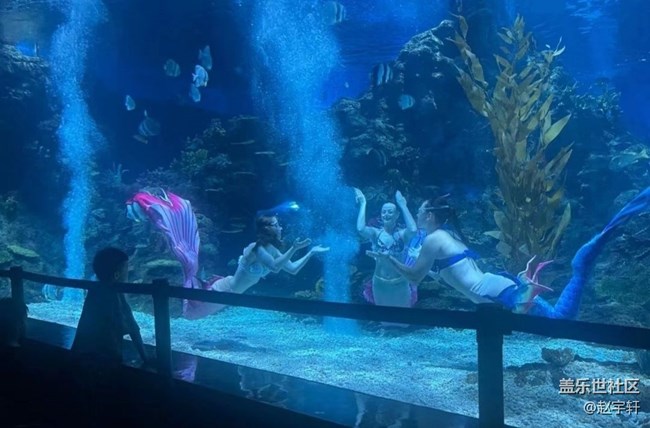【浪漫盛夏季】海洋館