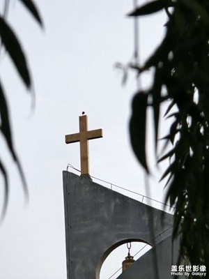 【光影里的五彩斑斕】+多彩夏日