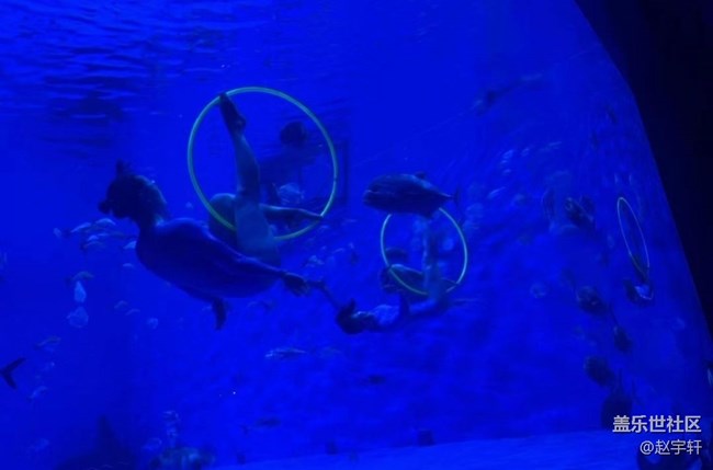 【浪漫盛夏季】海洋館