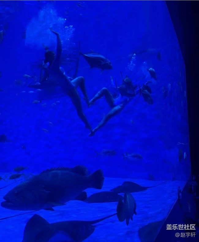 【浪漫盛夏季】海洋館