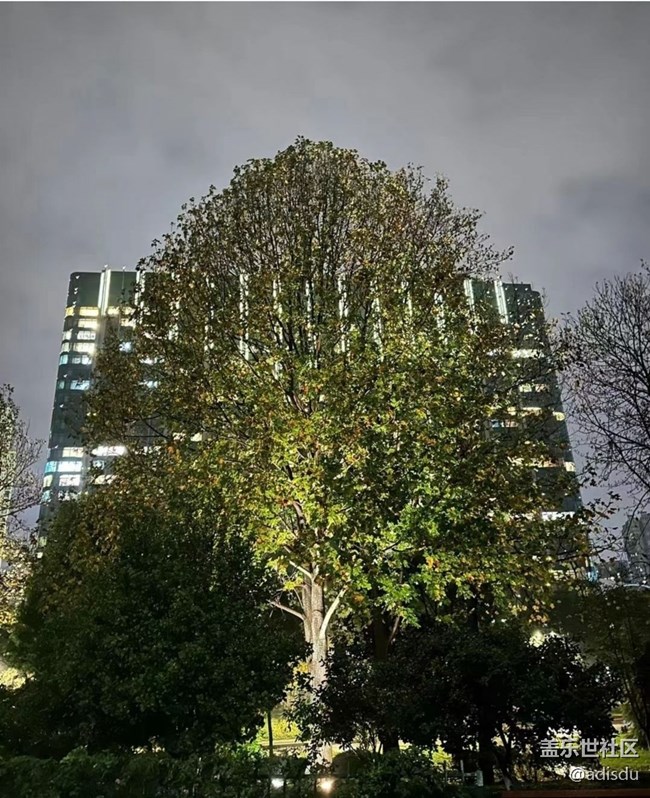 【鵬城夜景】黑夜