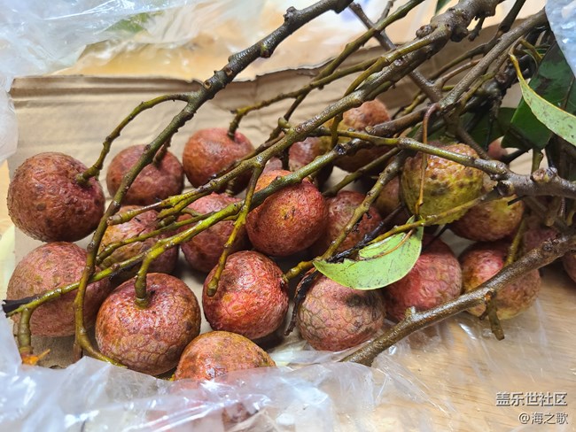【消暑風(fēng)味集】荔枝